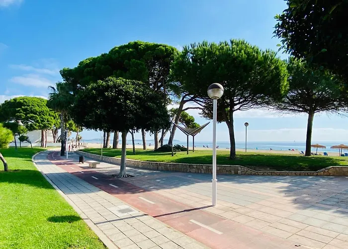 Atico Augusta Daire *